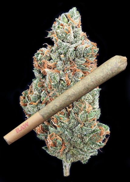 Sour Grape Joint