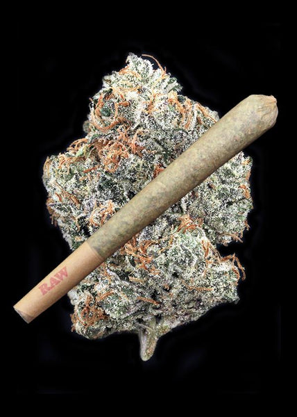 Spec-Ops Joint