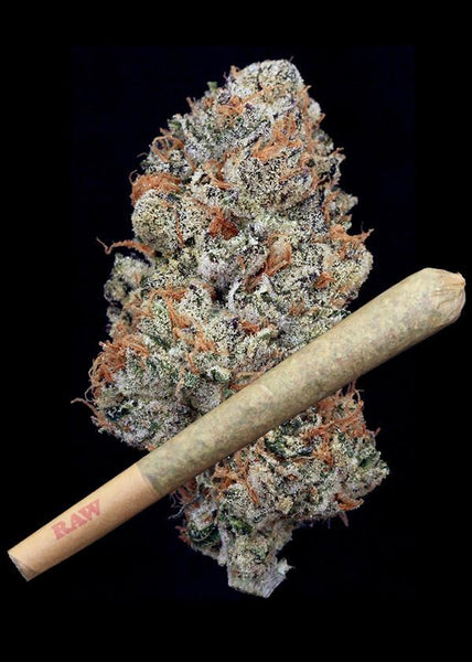 The Cookies Joint - TRIM