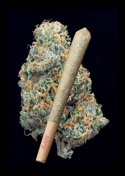 True Blue Joint