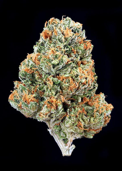 White Poison