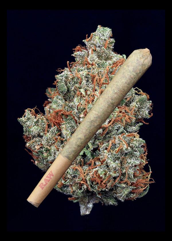 White Urkle Joint